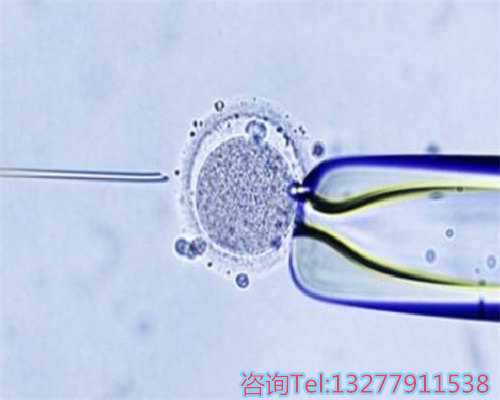 国内有代怀生子吗,【数据透视-南京试管助孕医院筛选法,HIV阳性患者生育解决方案!】