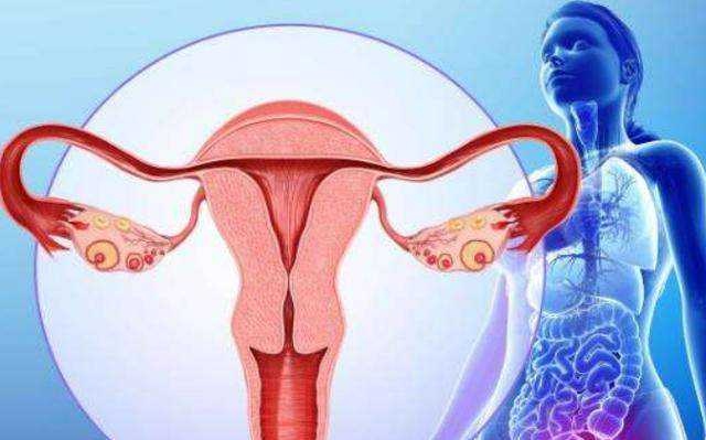 南京代怀生子价格一览表,南京鼓楼医院朱湘虹医生：30年妇科肿瘤与不孕症诊疗经验分享