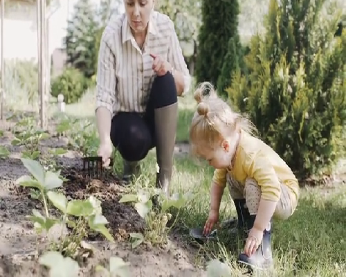 南京供卵试管中介,【南京试管婴儿适应症详解-公立医院助孕准入标准放宽,同性试管家庭迎来新机遇!】